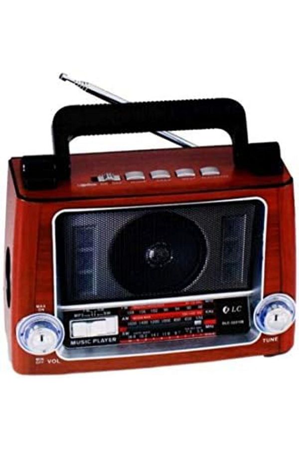 Generic-DLC Bluetooth Radio Speaker Multicolour 1