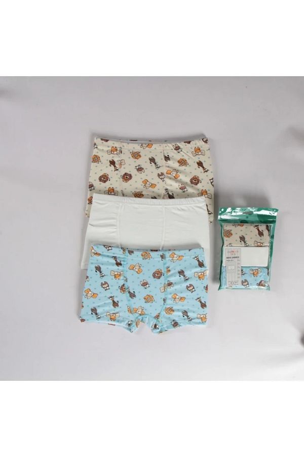 Yağmur Giyim-Diamond Mixed Pattern 3-Piece Boy Boxer Set B-84 1