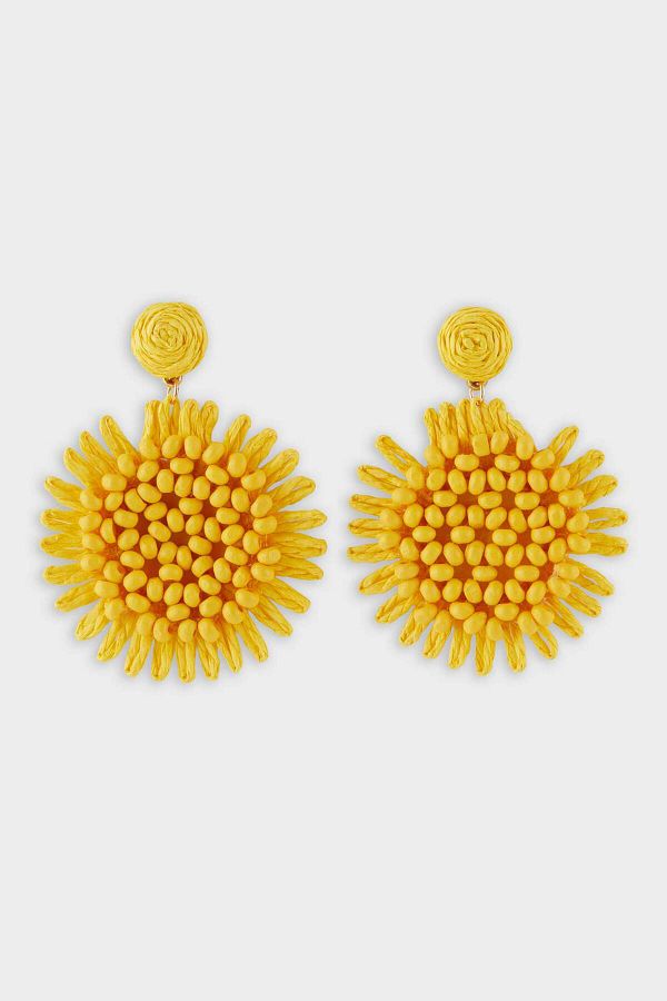 DeFacto-Women's Yellow Straw Detailed Earrings F0838Axns 1