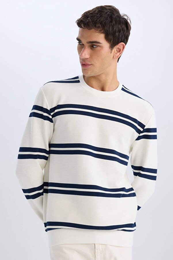 DeFacto-Regular Fit Crew Neck Textured Sweatshirt D7595Ax25Sp 1