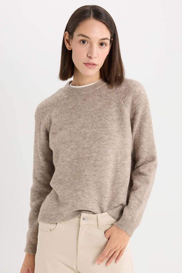 DeFacto-Basic-Strickpullover mit normaler Passform und Rundhalsausschnitt D0035AX24WN 1