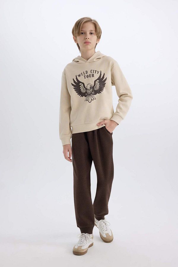 DeFacto-2-Piece Set for Boy - Hooded, Printed Thick Sweatshirt and Elastic Sweatpants E1931A824Cw 1