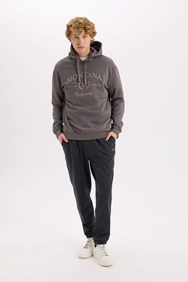 Defacto Relax Fit Hooded Printed Thick Sweatshirt D2681Ax24Au