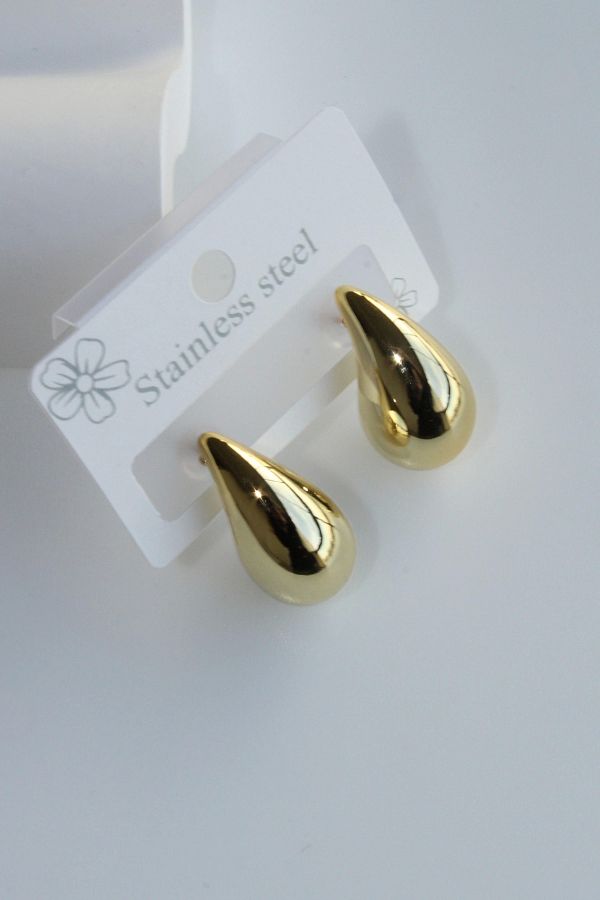 Leo'Stone-Premium Series Polished Drop Model Women's Steel Earrings 1