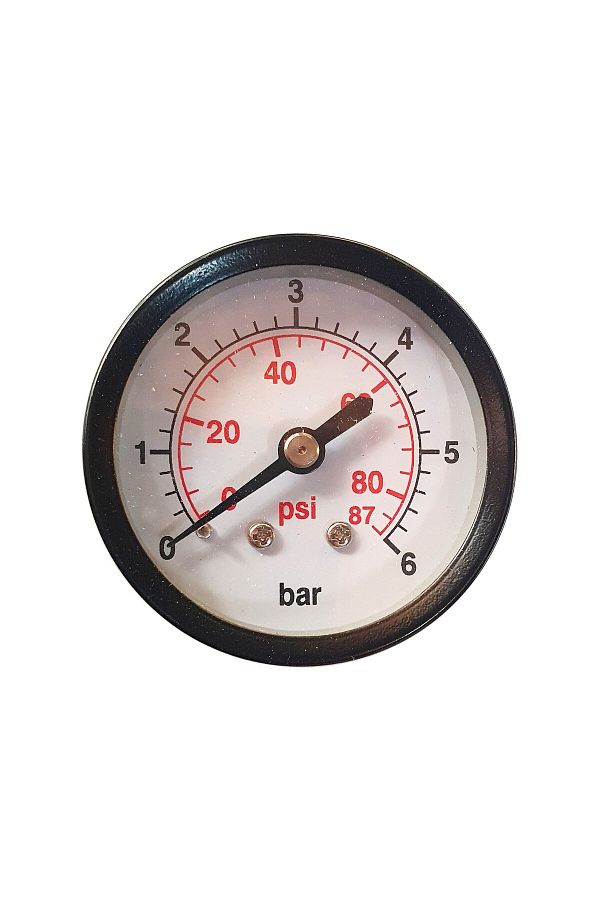 Progarden-Manometru pentru apa Axial 0-12 bar, FE 1/4" 1