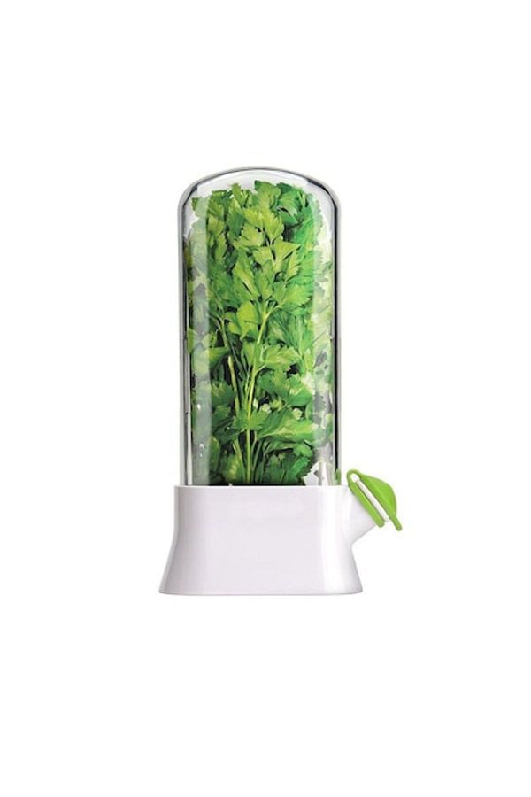 Royal-Herb Storage Container with Water Filling Lid, Fresh, Clean, BPA-Free, Practical, Durable, 27x16 cm, 1
