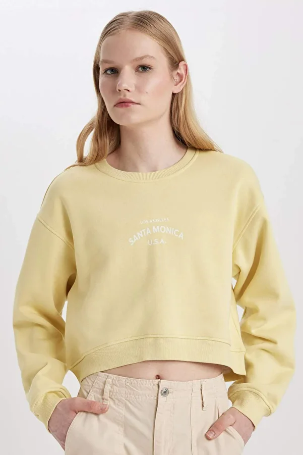 DeFacto-Boxy Fit Rundhalsausschnitt Bedrucktes dickes Sweatshirt C5385AX23CW 1