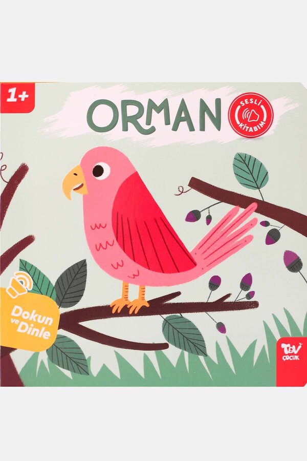 Türkiye Diyanet Vakfı Yayınları Dokun ve Dinle Sesli Kitabım Orman
