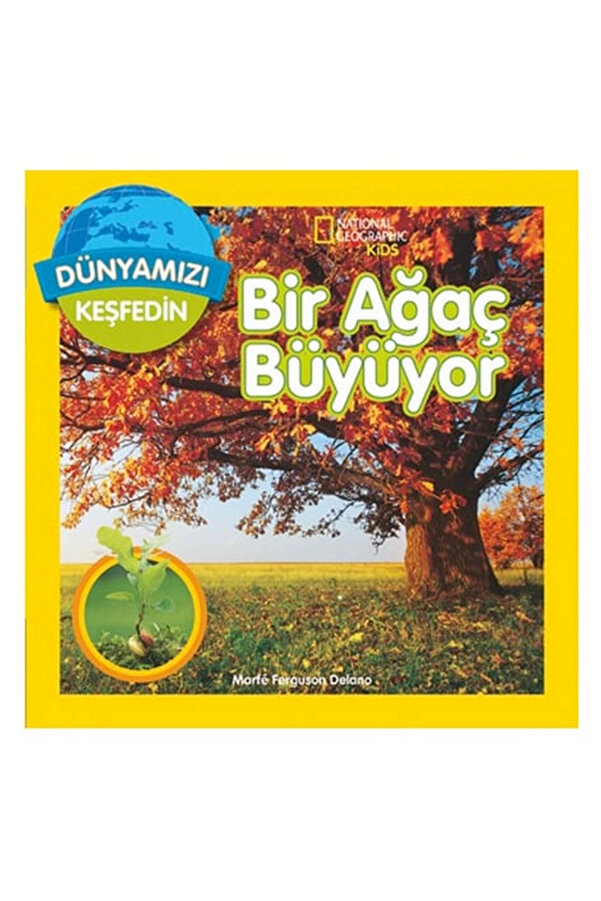NEWBRENDHOME Öğretici Eğitici Oyuncaklar Kids Bir Ağaç Büyüyor Kız Erkek Çocuk Oyuncak