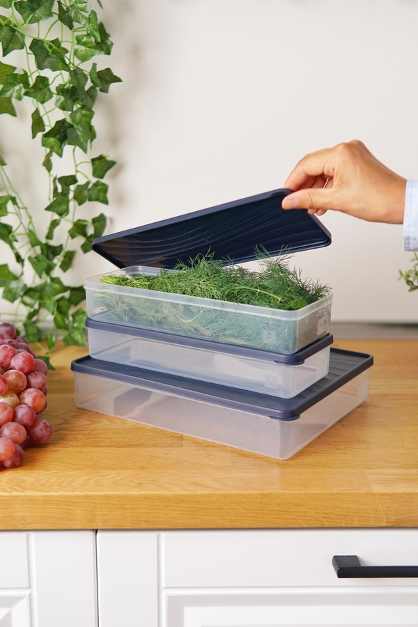 EVLE-Deep Freezer Storage Container Set of 3 (3 Lt + 2 X 2 Lt), Blue 1