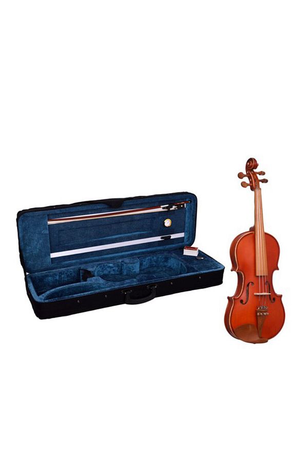 Rosewood violin cheap