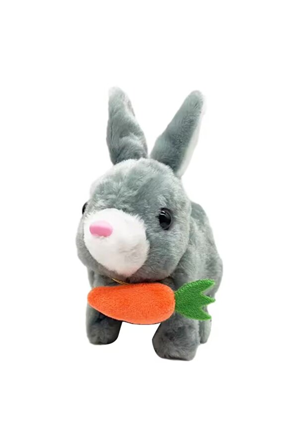 GenelTedarik SESLİ VE ZIPLAYAN TAVŞAN