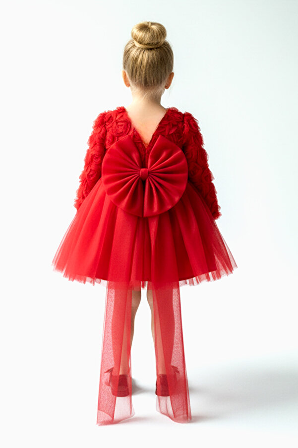 Baby Animals Kız Bebek Kız Çocuk Doğum Günü Parti Düğün Elbise Uzunkollu Güllü Fiyonklu Tüllü Tütü Astarlı