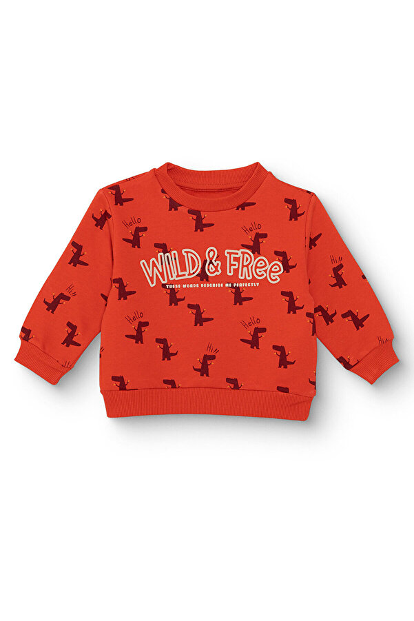 ebebek Hello Baby HelloBaby Erkek Bebek Sweatshirt Şardonlu İki İplik Bisiklet Yaka Uzun Kol