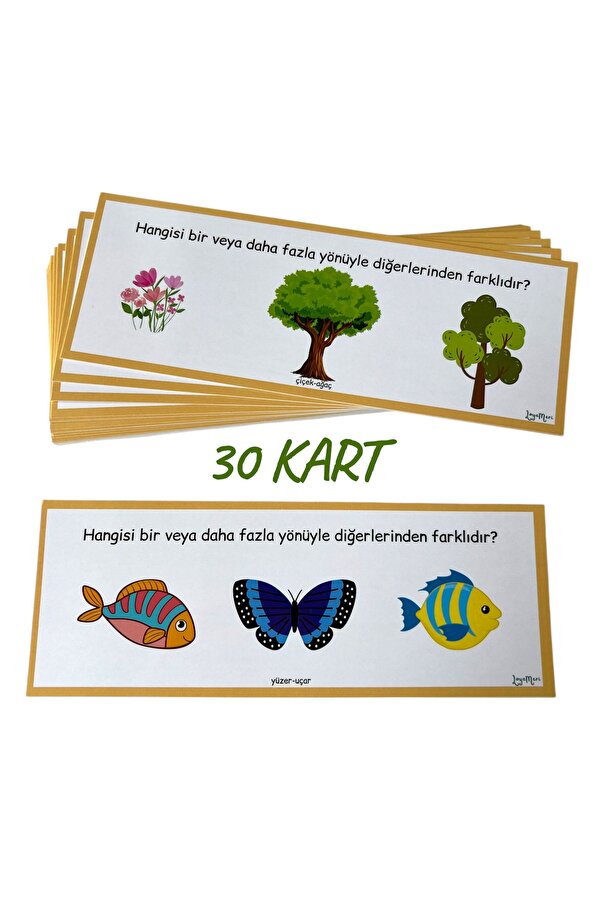 Loyameri Kidsshop Farklı Olanı Bul Kartları, Okulöncesi, Özel Eğitim