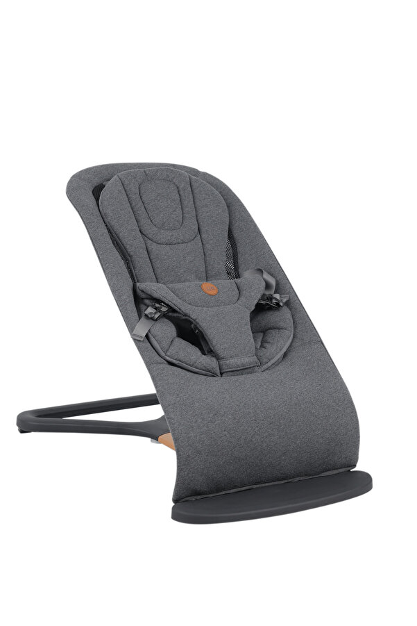 Will Bouncer Side Ana Kucağı - Anthracite