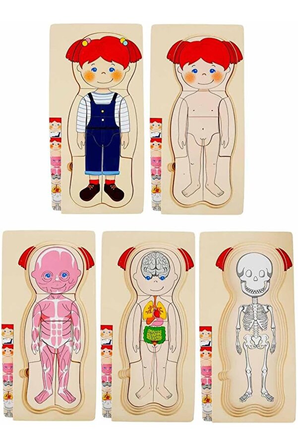 BRF Defyasell Tahta Puzzle 4X7 Parça insan Vücudu 1228508