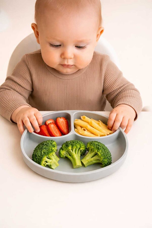 CKM silikon Vakumlu 3 Bölmeli Mama Tabağı Antrasit Gri