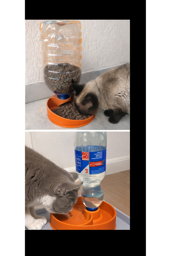 Della Biyoplastik Otomatik Suluklu Mama Kabı – Kedi & Köpek İçin turuncu