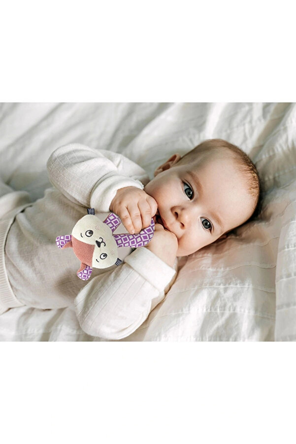 Babyjem Çıngıraklı Kedi Oyun Arkadaşım Gül Kurusu