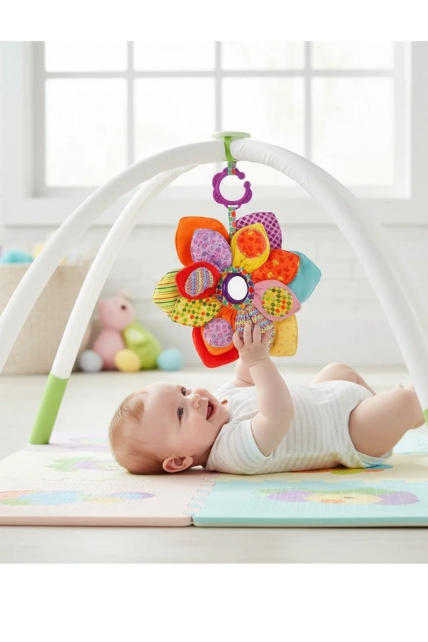 Budizzz Renkli Çıngıraklı Aktivite Oyuncak | 0-2 Yaş Bebek Oyuncağı