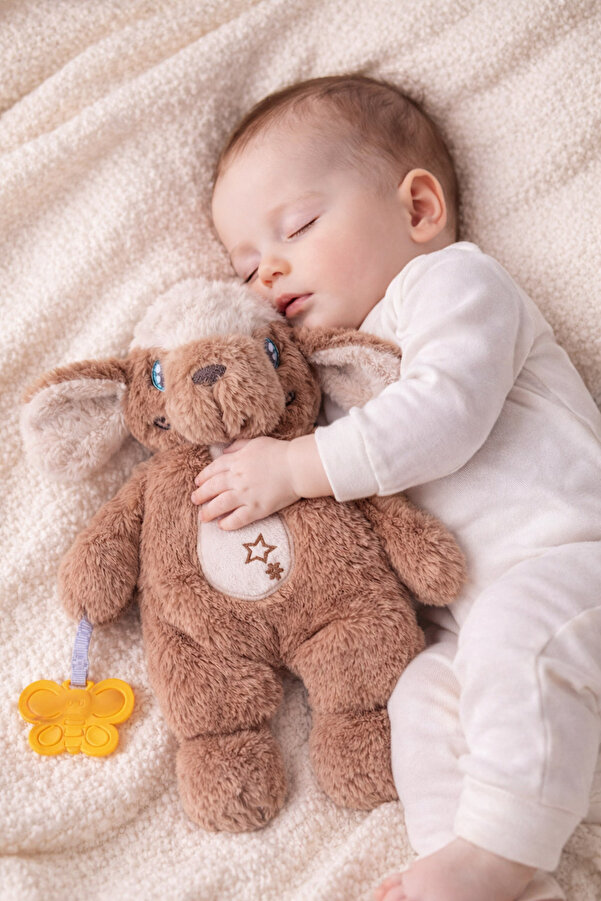 Budizzz Bebek Uyku ve Sarılma Arkadaşı | Diş Kaşıyıcılı Uyku Arkadaşı Köpek