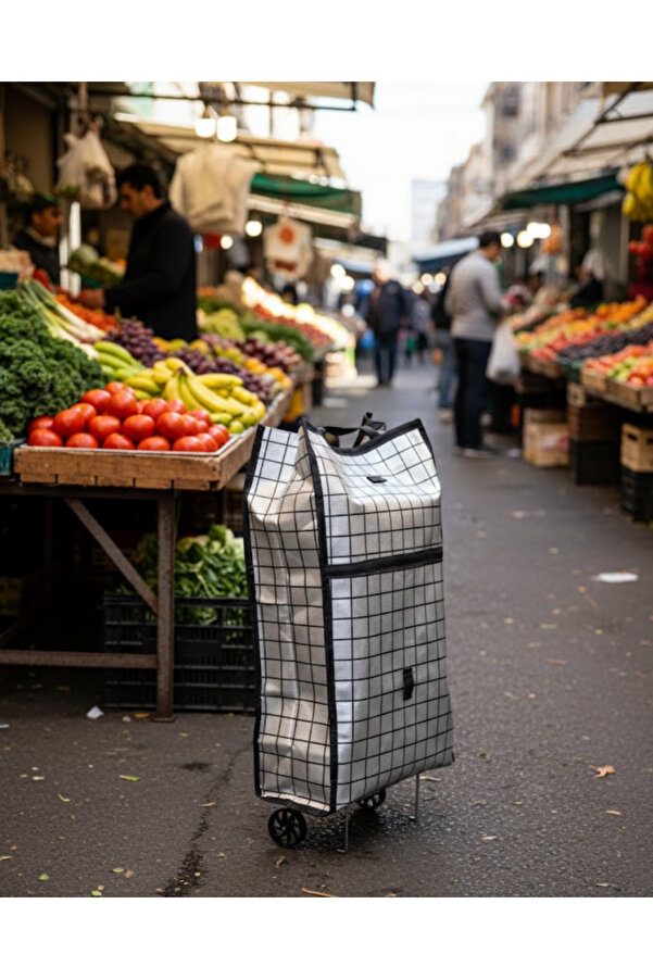 Lisinya Ağır Yük Taşımaya Uygun Tekerlekli Market ve Pazar Çantası - TYGOO