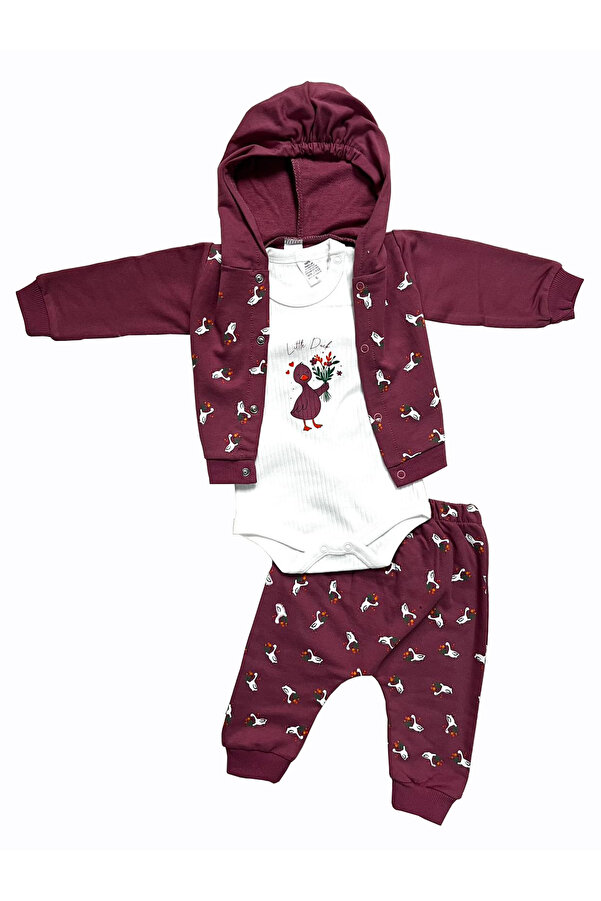 Linda Harris Little Duck Açık Mürdüm Kapüşonlu 3’lü Yenidoğan Kız Bebek Hastane Çıkışı Seti