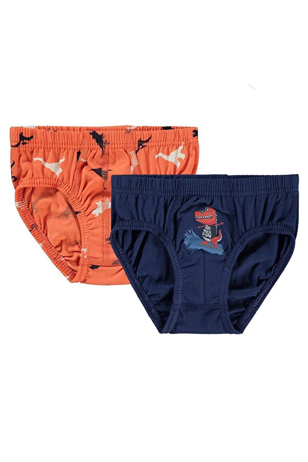 Civil Boys Dinazor 2-10 Yaş 2'li Külot Set - Standart