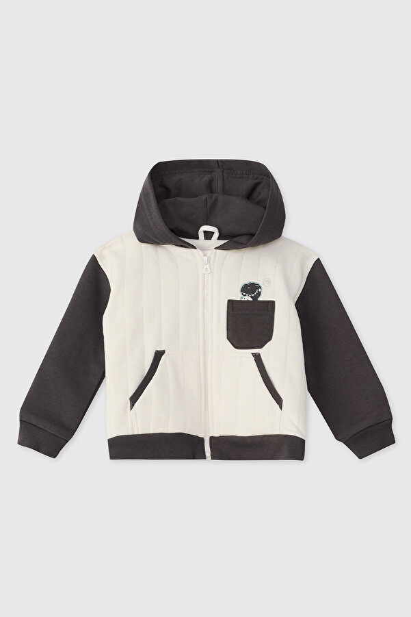 Panço Erkek Bebek Dinozor Baskılı Antrasit Sweatshirt