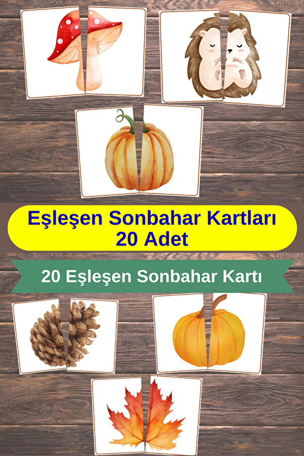 özgürce Sonbahar Eşleştirme Kartları Seti, Montessori, 20 Adet