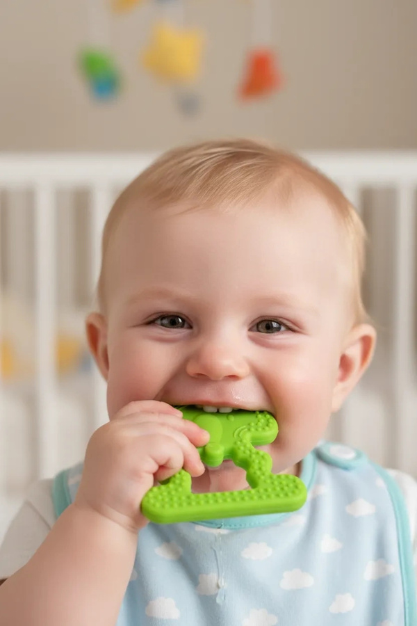 Babyjem Fil Diş Kaşıyıcı Açık Yeşil