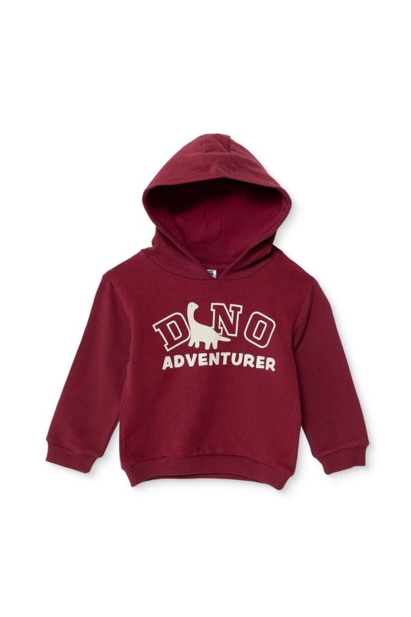 ebebek Hello Baby HelloBaby Erkek Bebek Kapüşonlu Sweatshirt Dinozor Baskılı Kapüşonlu Uzun Kol