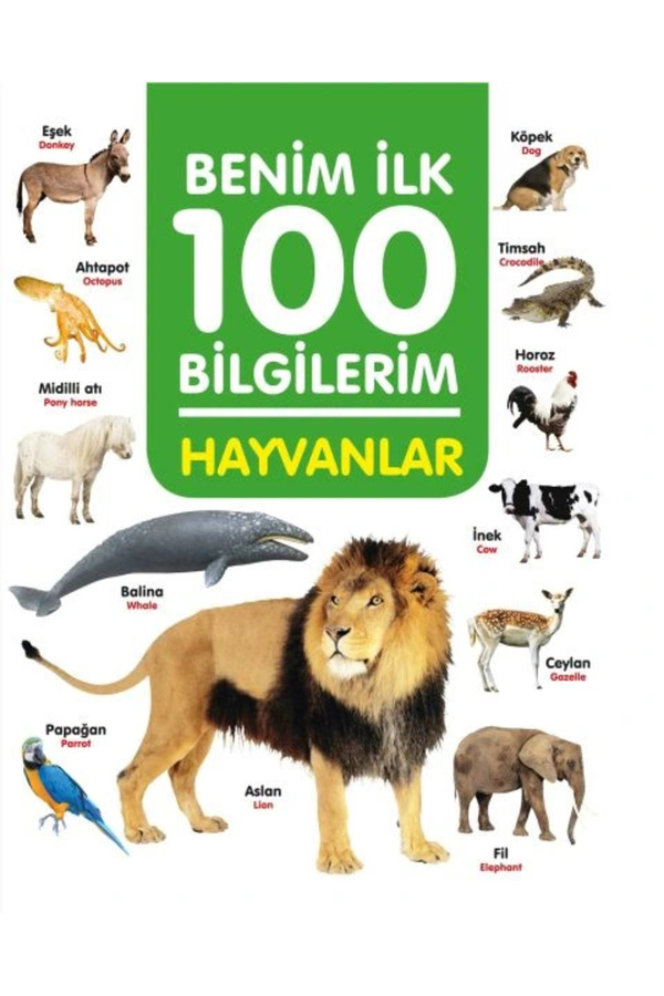 0-6 Yaş Yayınları Hayvanlar - Benim İlk 100 Bilgilerim