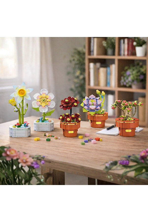 DOSTOYS Yapı Bloklu Eçeverya Sukulent – DIY Çiçek Seti, Masaüstü Dekoratif Hobi