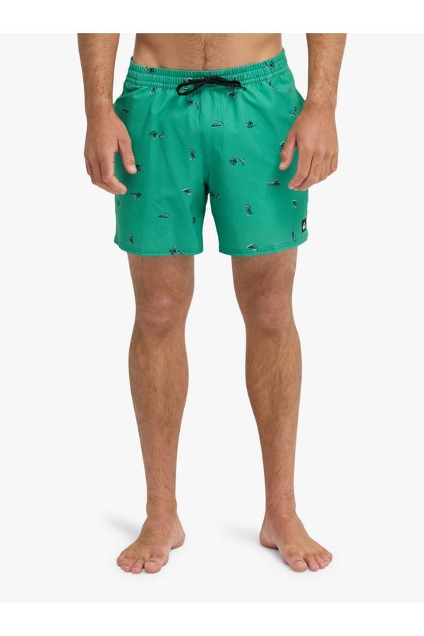 Quiksilver Stretch Printed Men's Shorts Eqyjv04217