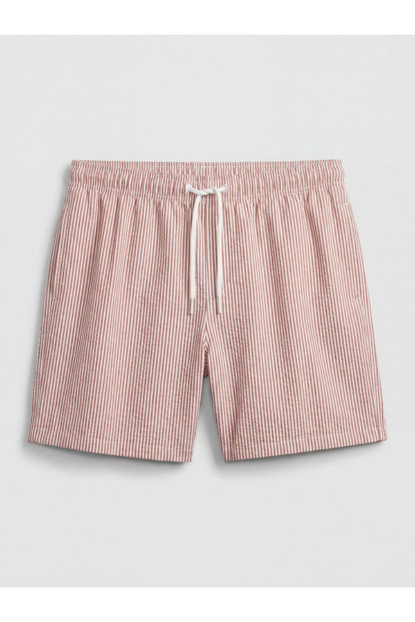 LC Waikiki Sparkling Choices from Shining Store Striped Men's Swim Shorts