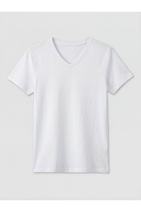 LC Waikiki V-Neck Men's T-Shirt