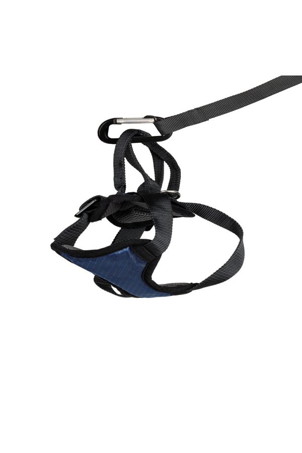 PetSafe-Solvit Deluxe Car Seat Belt Medium 62405 1