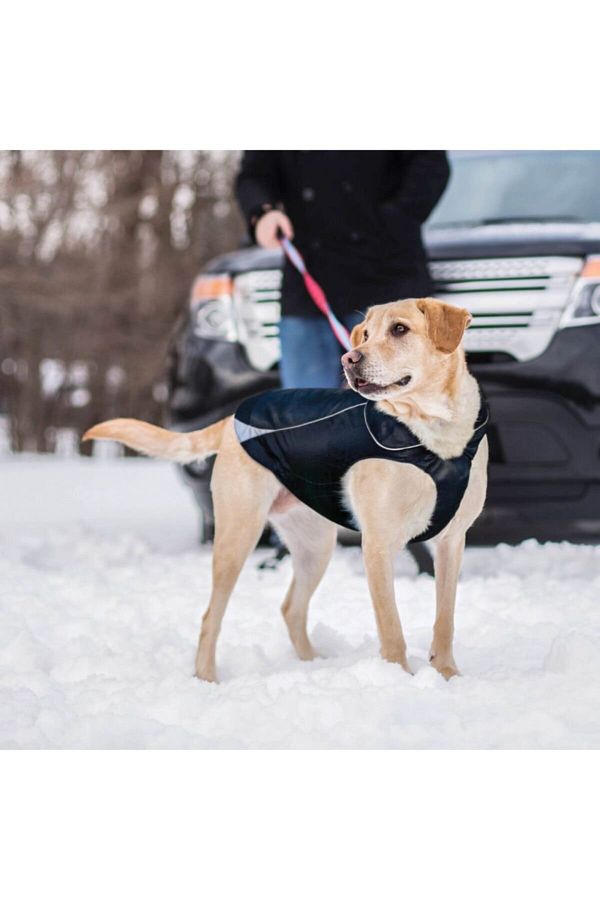 Pet Safe Kurgo North Country Waterproof Dog Coat Small Size Black K01544 Trendyol