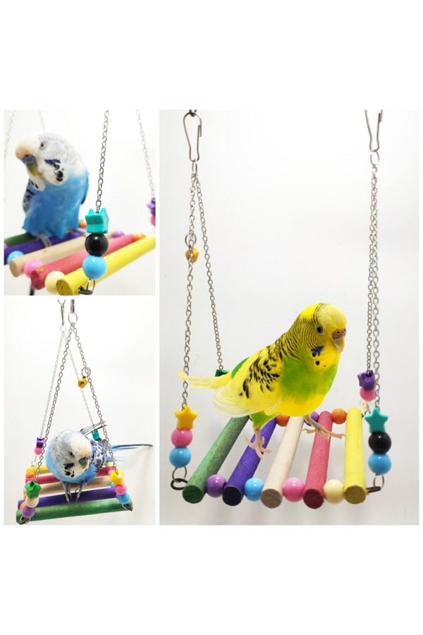 ozzipetshop Budgie Colored Wooden Bird Swing