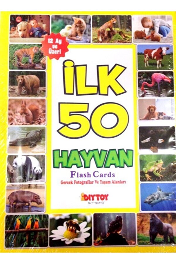 obenim Diytoy Ilk 50 Hayvan Flash Kartları