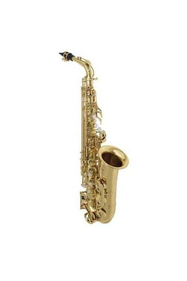 Suzuki Mcsa1 Mib Alto Saxophone Trendyol