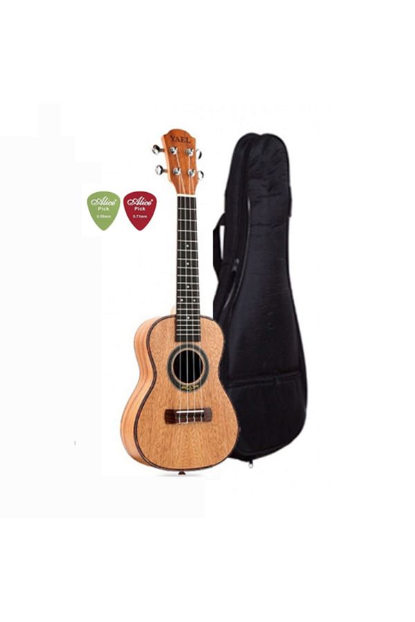 23 inch shop concert ukulele