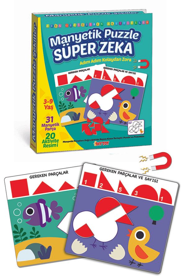 Diytoy-Super Intelligence Child Development Magnetic Puzzle Game 1