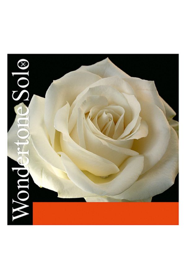 Pirastro-Wondertone Violin String Set 1