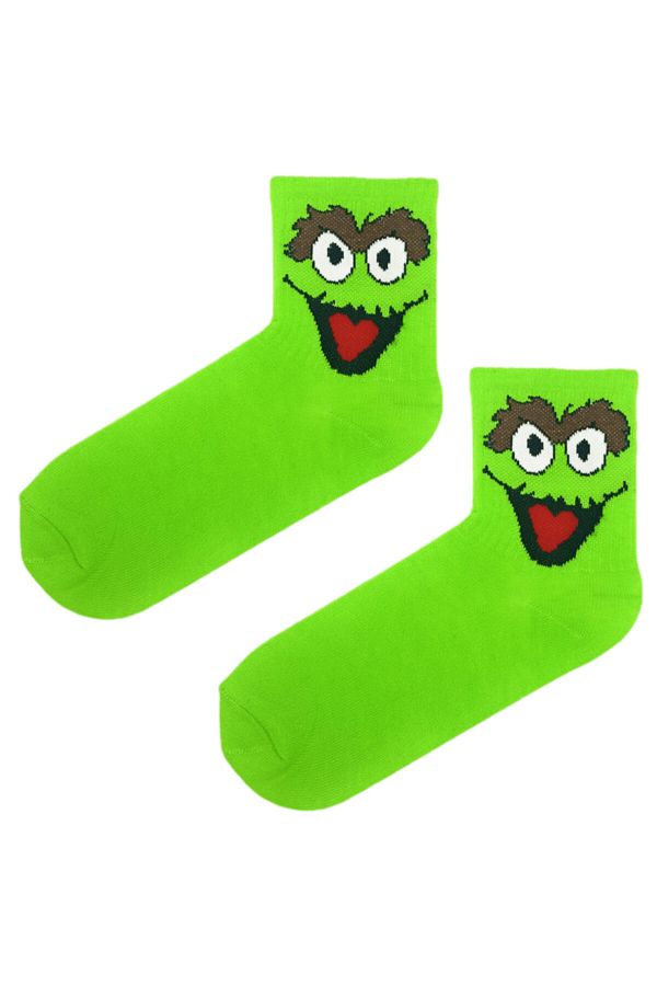 Esinti-Sesame Street Stinky Themed Socks Green 1