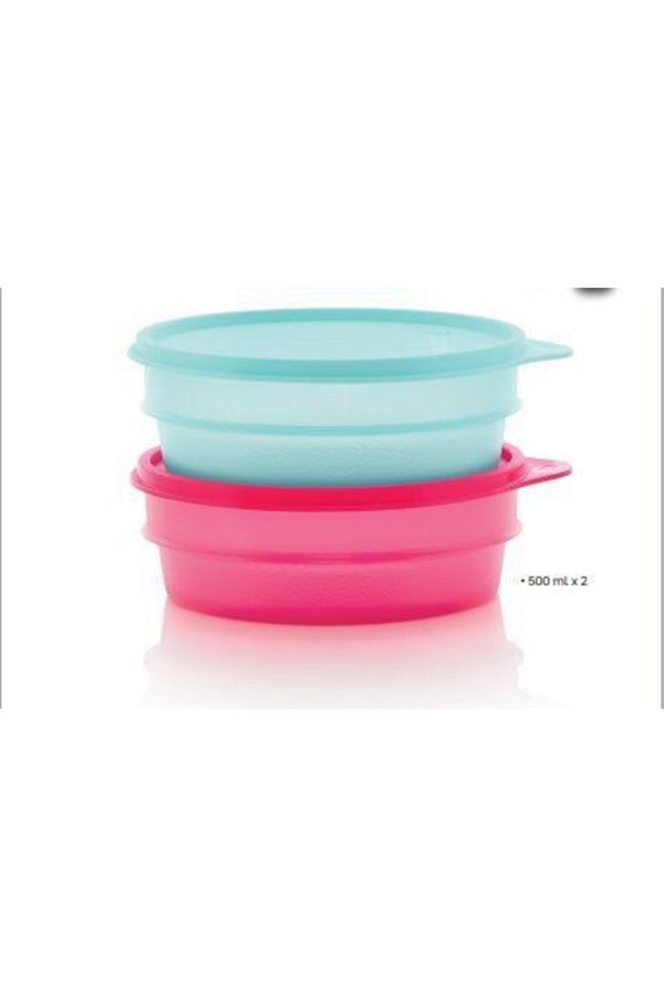 Tupperware-حاويات تخزين معيارية 2 عبوة 500 مل 1