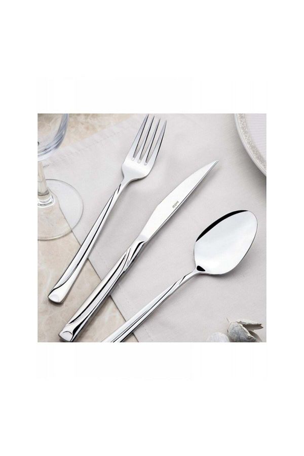 Nehir-Fiesta Plain 12 Pieces Dinner Spoon Set 1