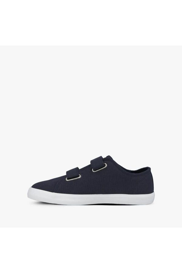 Timberland newport bay canvas new arrivals
